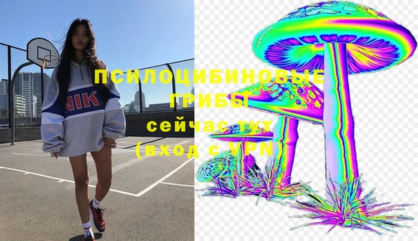 эйфоретик Алексин