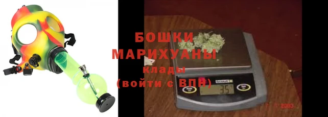 стафф Россошь