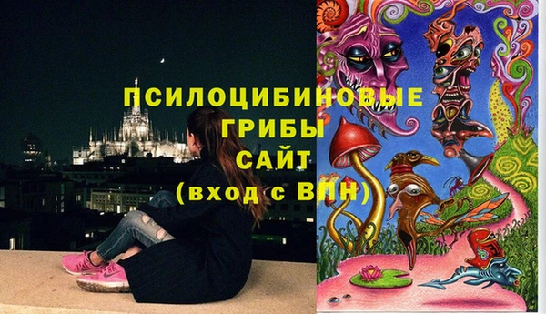 apvp Алексеевка