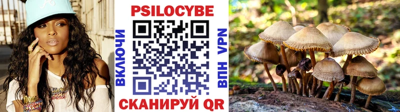 Псилоцибиновые грибы GOLDEN TEACHER Калтан