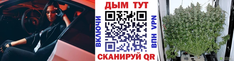 Канабис OG Kush Калтан