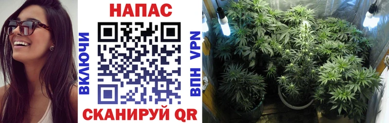 Конопля марихуана  Калтан 